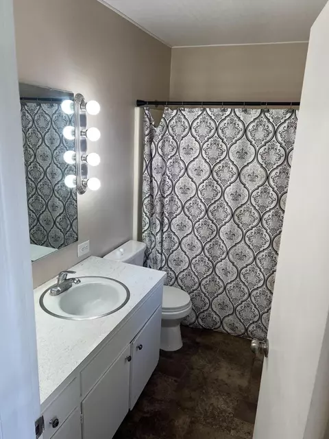 Bath - 619 Rose Ave, Big Rapids, MI 49307 photo 1 of 1
