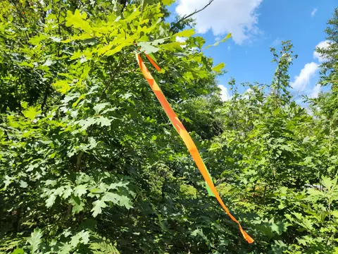 Vl 4.5 Acr Wilderness Trail, Luther, MI 49656