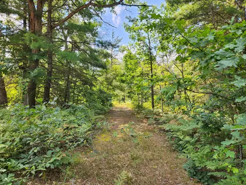 Par 1 Wilderness Trail, Luther, MI 49656