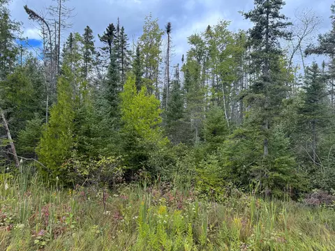 V/l County Road 581, Ishpeming, MI 49849 photo 3