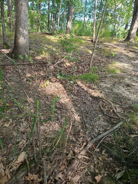 0 Us 12 W, Buchanan, MI 49107 photo 5