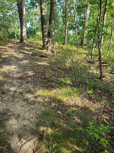 0 Us 12 W, Buchanan, MI 49107 photo 6