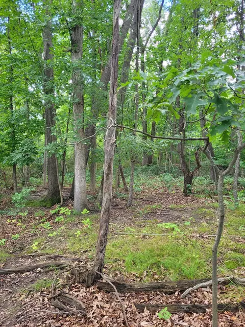 0 Us 12 W, Buchanan, MI 49107 photo 4