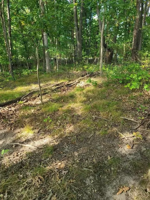 0 Us 12 W, Buchanan, MI 49107 photo 7