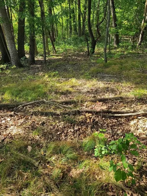 0 Us 12 W, Buchanan, MI 49107 photo 8