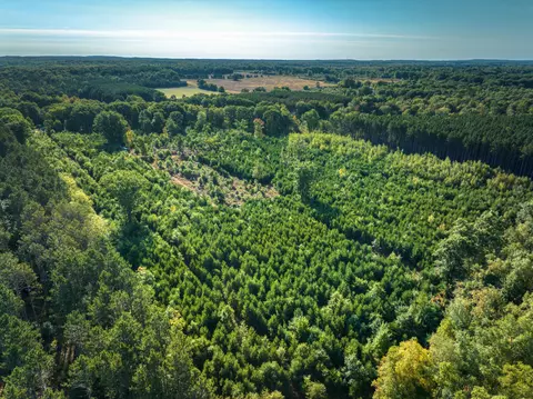 V/l 60th Avenue, Mecosta, MI 49332