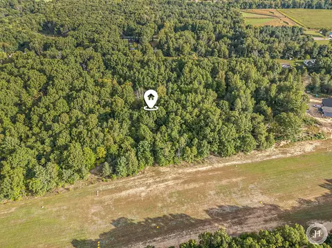 V/l Fish Road, Belding, MI 48809 photo 6