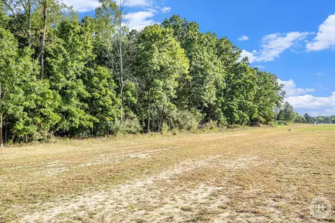 V/l Fish Road, Belding, MI 48809 photo 12
