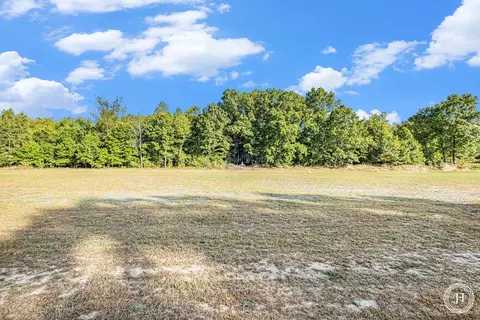 V/l Fish Road, Belding, MI 48809 photo 10
