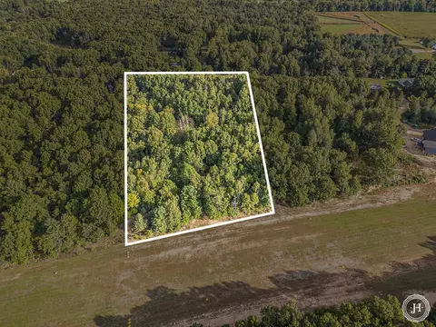 V/l Fish Road, Belding, MI 48809 photo 21
