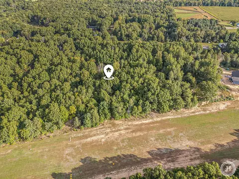 V/l Fish Road, Belding, MI 48809 photo 23