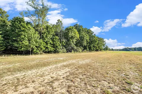 V/l Fish Road, Belding, MI 48809 photo 9