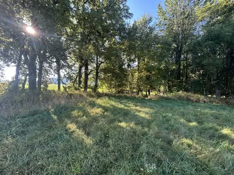 0 Moscow Rd, Jerome, MI 49249 photo 9