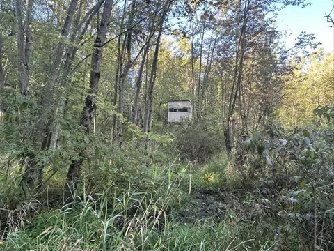 0 Moscow Rd, Jerome, MI 49249 photo 11