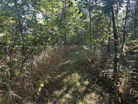 0 Moscow Rd, Jerome, MI 49249 photo 7