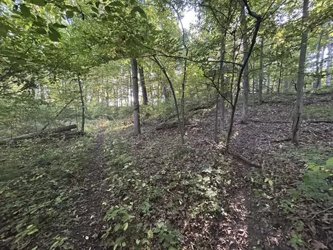 0 Moscow Rd, Jerome, MI 49249 photo 13