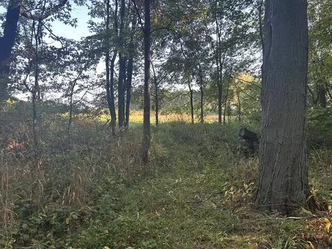 0 Moscow Rd, Jerome, MI 49249 photo 5