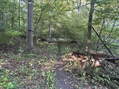 0 Moscow Rd, Jerome, MI 49249 photo 12