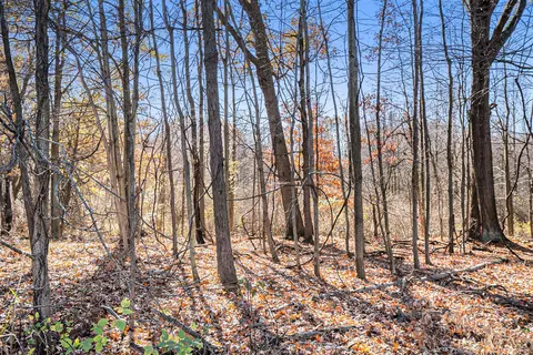V/l Cedar Lake, Marshall, MI 49068 photo 17