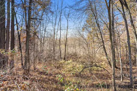 V/l Cedar Lake, Marshall, MI 49068 photo 20