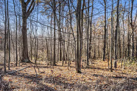 V/l Cedar Lake, Marshall, MI 49068 photo 16
