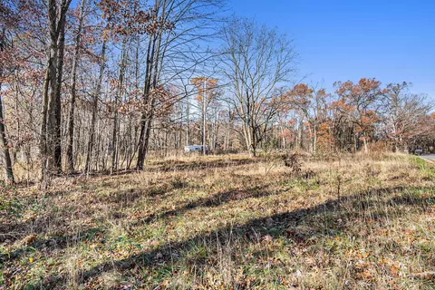 V/l Cedar Lake, Marshall, MI 49068 photo 6