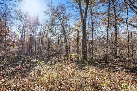 V/l Cedar Lake, Marshall, MI 49068 photo 14