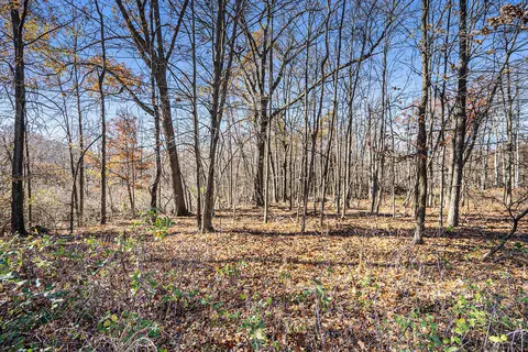 V/l Cedar Lake, Marshall, MI 49068 photo 12