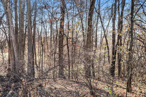 V/l Cedar Lake, Marshall, MI 49068 photo 18