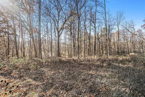 V/l Cedar Lake, Marshall, MI 49068 photo 11