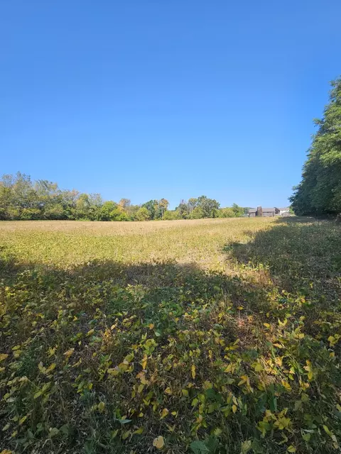 Vl Thorne Road, Horton, MI 49246