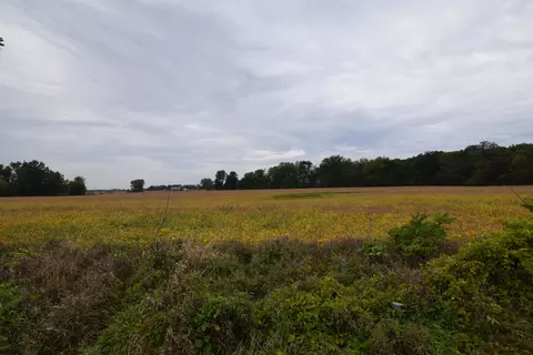 Rierson Road, Bronson, MI 49028