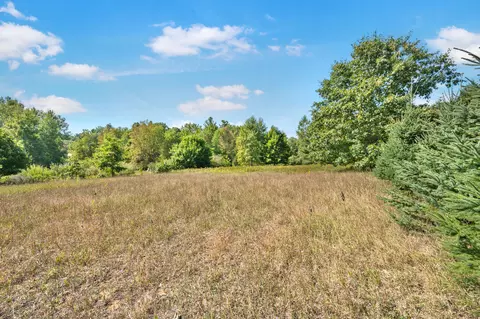 lot4 University Club Dr, Big Rapids, MI 49307 photo 6