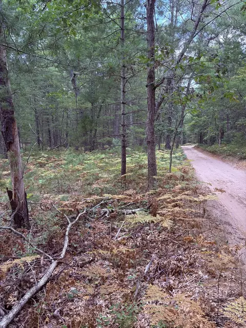 00 S Shady Grove Dr, Baldwin, MI 49304