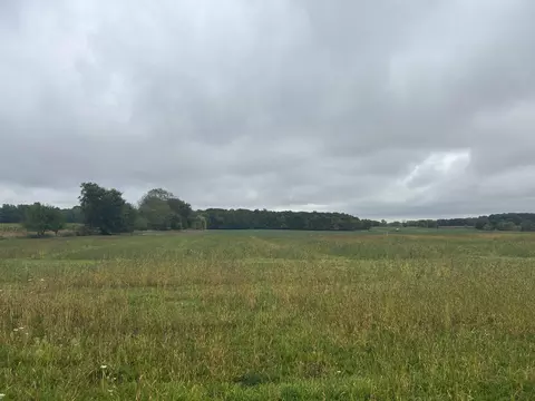 Parcel 1 Woodland Road, Woodland, MI 48897