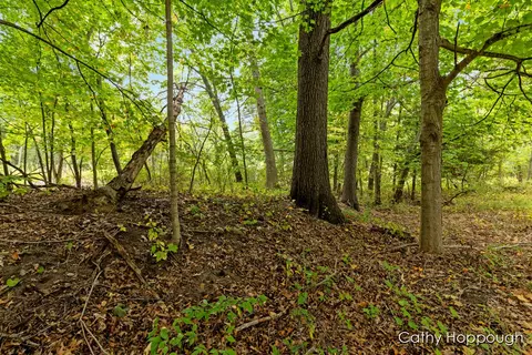 Par 1 E Blue Water Highway, Muir, MI 48860