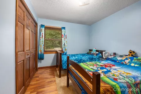 3862 E Shore Dr, Stanton, MI 48888 photo 13