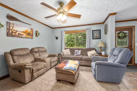 3862 E Shore Dr, Stanton, MI 48888 photo 5