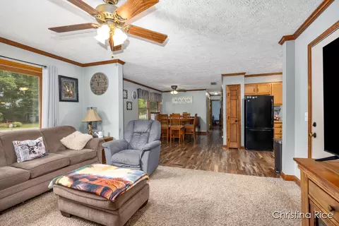 3862 E Shore Dr, Stanton, MI 48888 photo 7