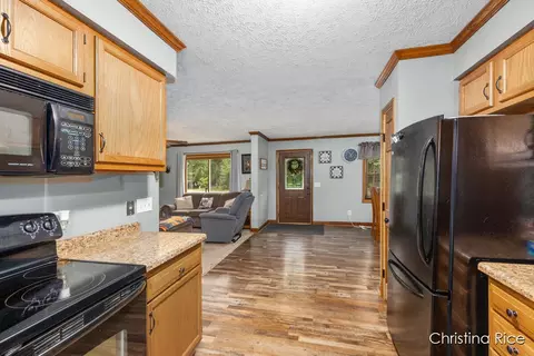 3862 E Shore Dr, Stanton, MI 48888 photo 9