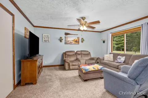 3862 E Shore Dr, Stanton, MI 48888 photo 6