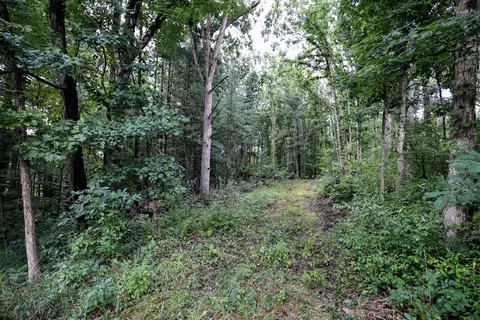 Vl Cr388, Grand Junction, MI 49056