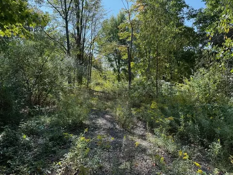 Undisclosed, Whitehall, MI 49461
