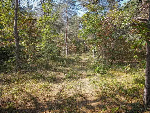 2969 E Loop Rd, Hesperia, MI 49421 photo 9