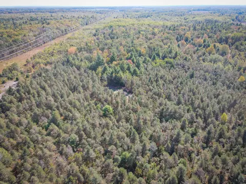 2969 E Loop Rd, Hesperia, MI 49421 photo 40