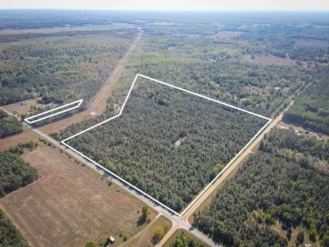 2969 E Loop Rd, Hesperia, MI 49421 photo 2