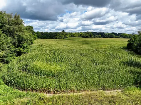 Vl M216, Marcellus, MI 49067 photo 2