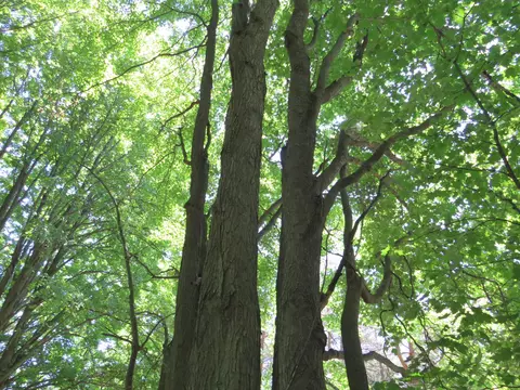 Vl E 16 Road, Manton, MI 49663 photo 11