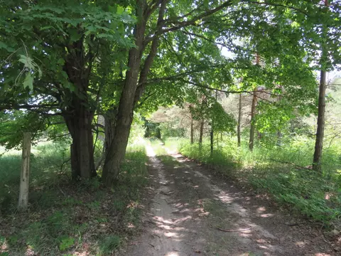 Vl E 16 Road, Manton, MI 49663 photo 25