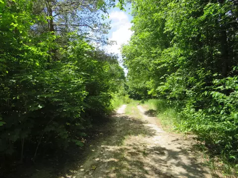 Vl E 16 Road, Manton, MI 49663 photo 22